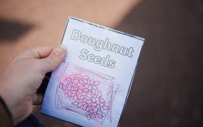 Doughnut Seeds